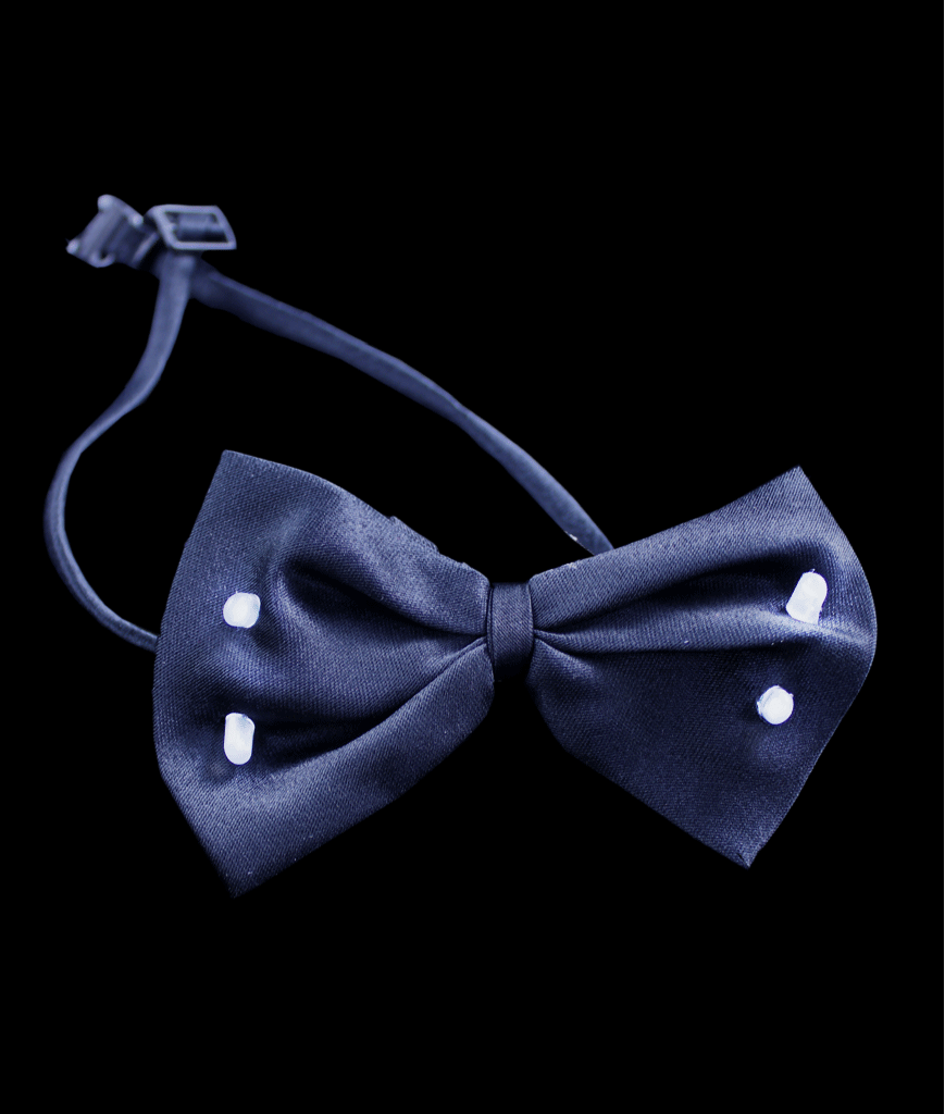 flashy bow tie
