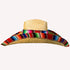 Giant Sombrero Hat